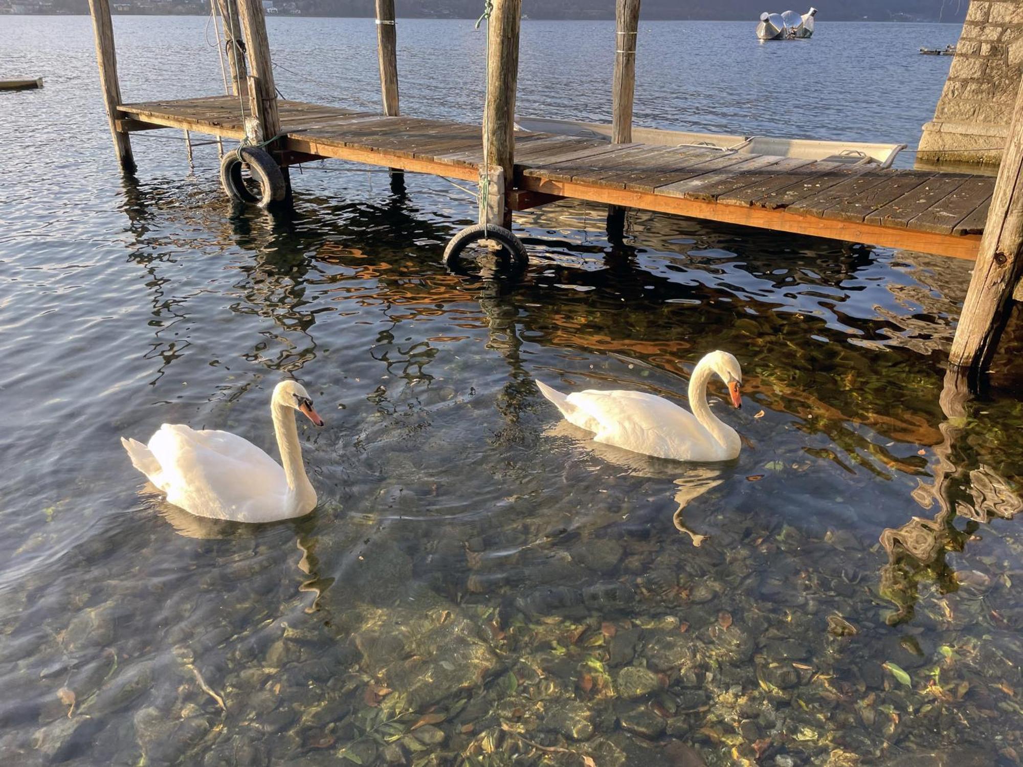 Appartamento Vacanze Al Lago Orta San Giulio Eksteriør bilde
